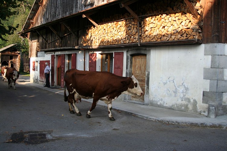 Visite guidée : Le village des Vallons et sa chapelle