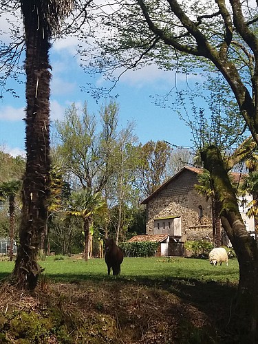 ChateauStMartin05-Pouillon-ChateauStMartin-2