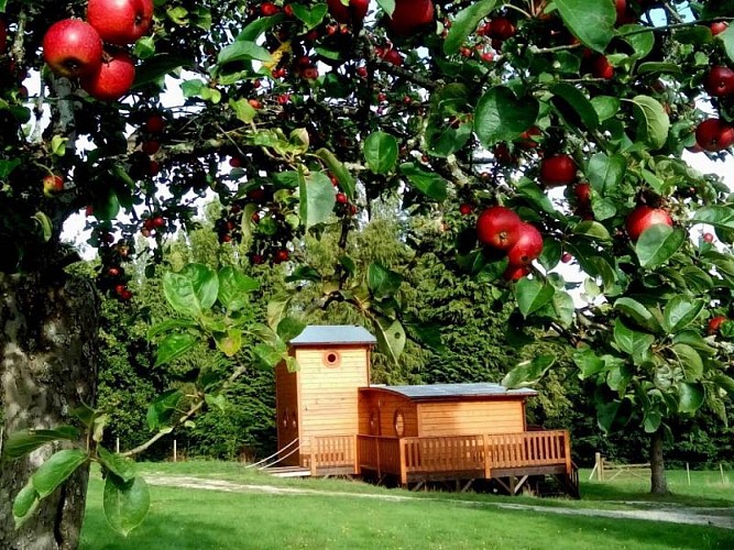 Gîte La Cabane Tchanquée de la forêt