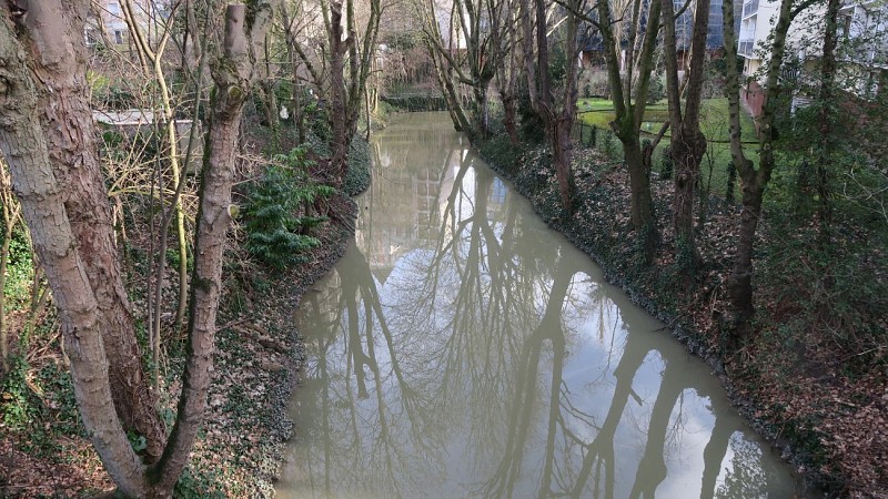 Le bras de Marne de Gravelle