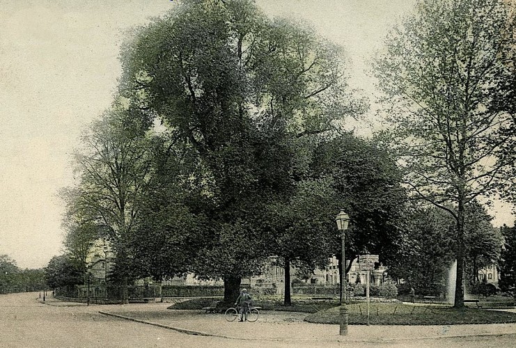 Image du circuit