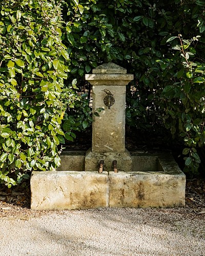 Domaine viticole du Bourrian