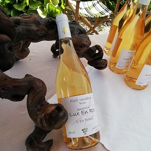 DOMAINE DU LUX EN ROC - CAVE RICHARD