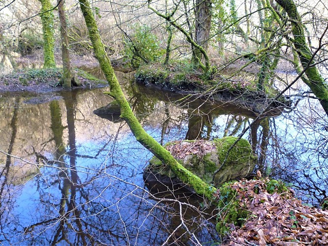 image du object