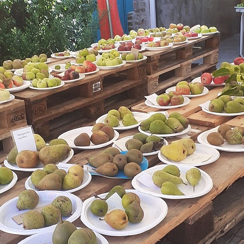 Fête de la Pomme et de la Nature