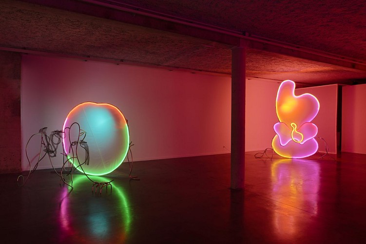 Naomi Maury, "Exoskeletlight"_7