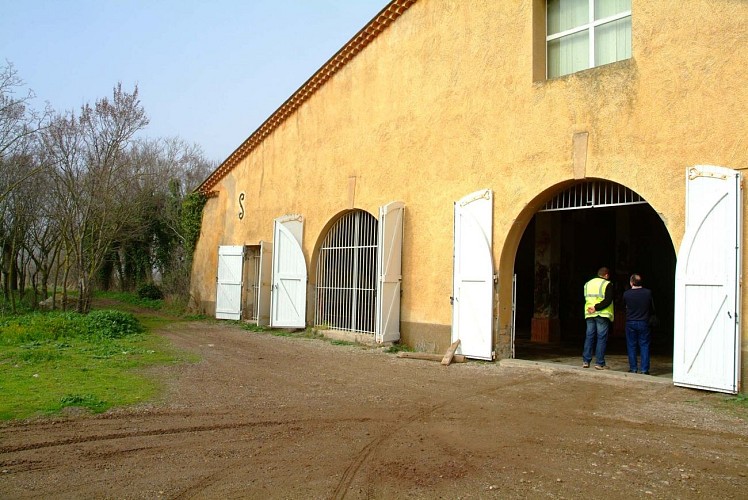 DADO, OEUVRES IN SITU
