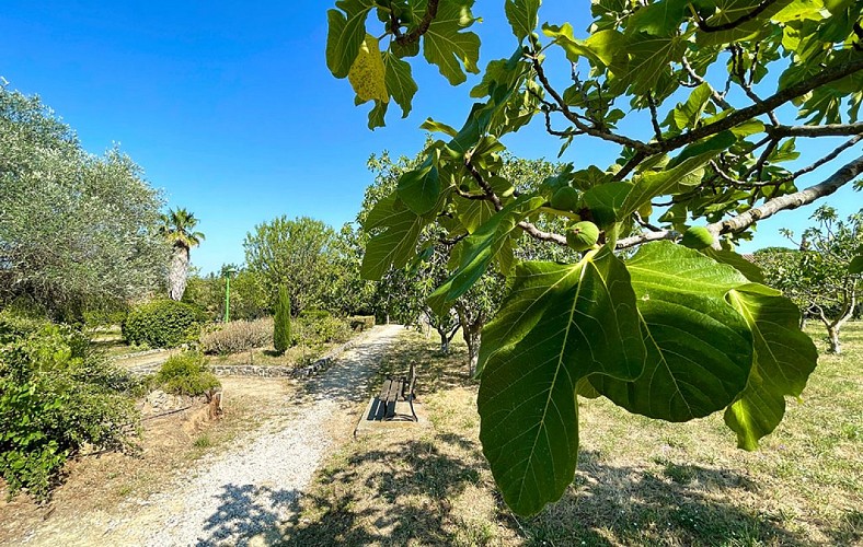 JARDIN MÉDITERRANÉEN