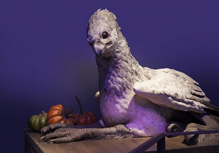 Biglietto Harry Potter Studios - partenza da Londra inclusa