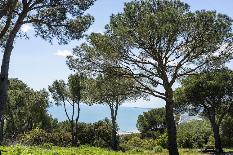 La vue la mesa les pierres blanches_sete_OCF1911