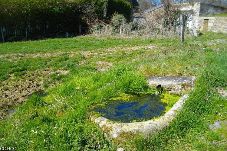 image du object