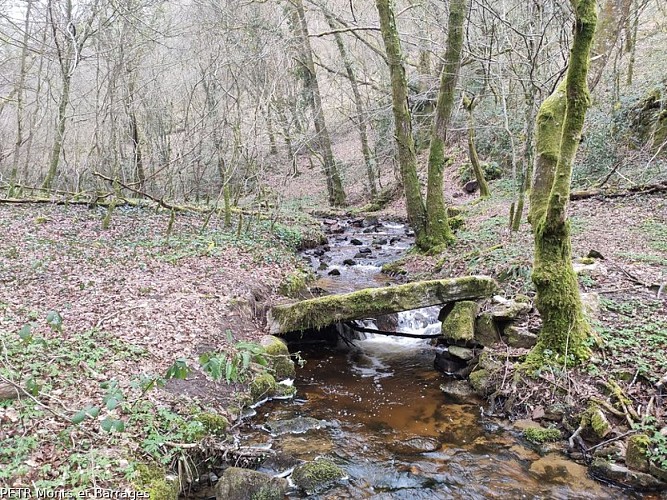 Ruisseau du Seigneur - Pont planche