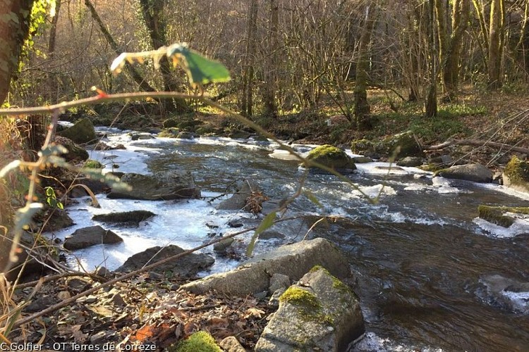 Gorges Loyre