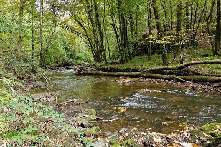 Gorges de la Loyre