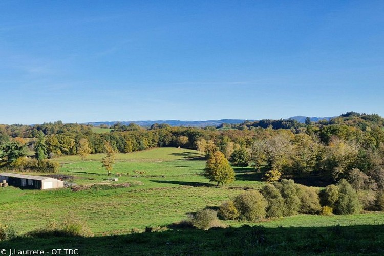 Point de vue de la Faye