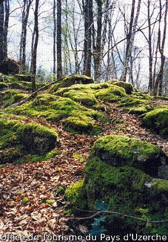 Remains of the castle mound of the Château de l'Abbaye