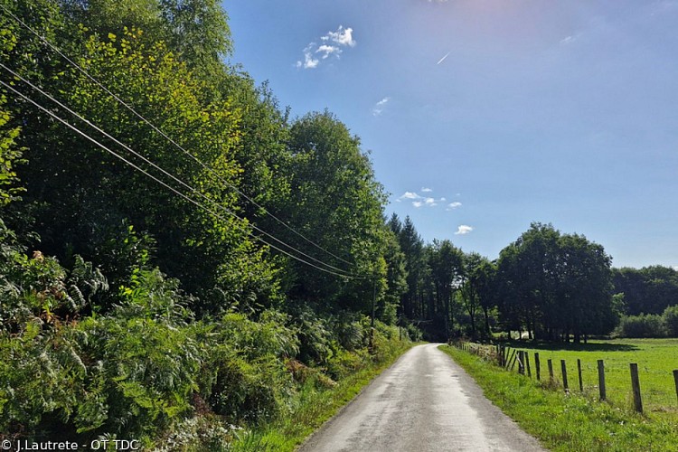 Forêt de Meilhards
