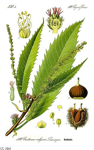 image du object