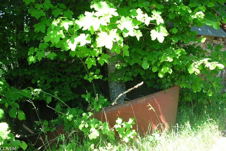 image du object