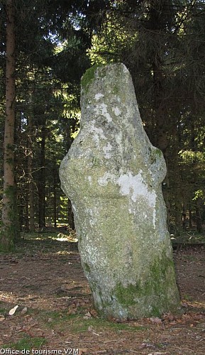 Menhir du Pilard