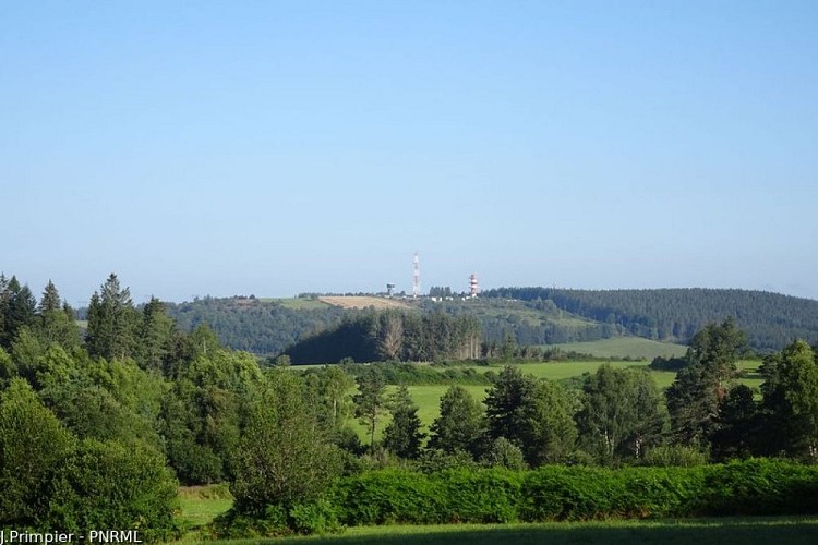 The Millevaches plateau