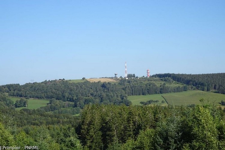 The Millevaches plateau