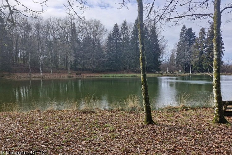 Etang du Merle