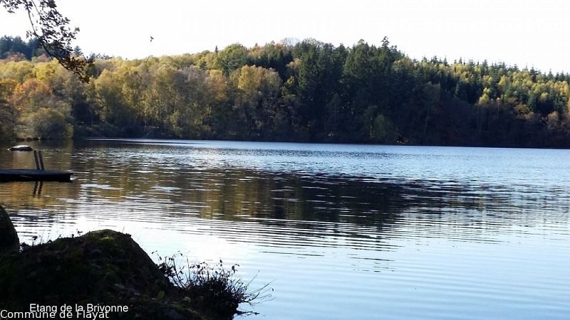 Flayat-Etang de la Brivonne