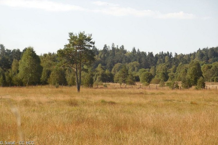 La Vienne