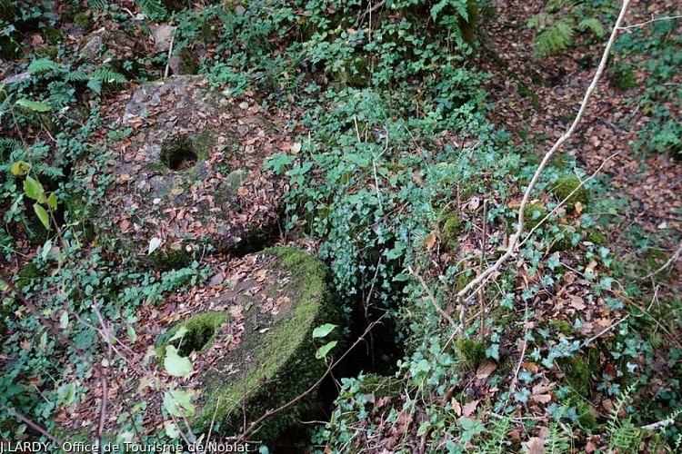 Ruines du moulin