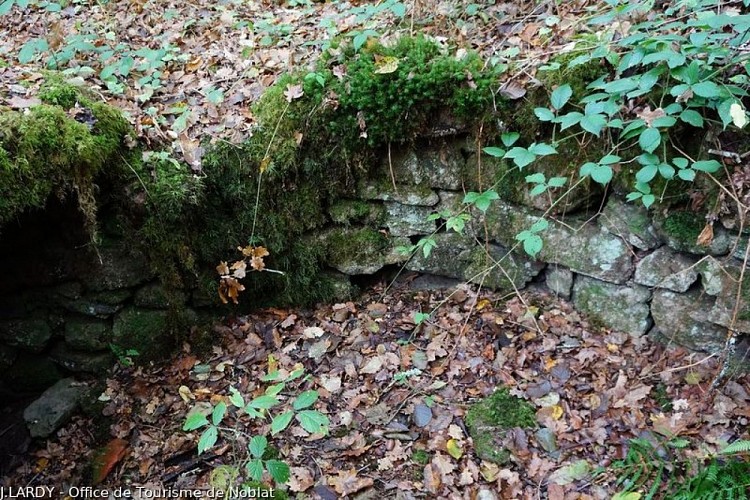 Ruines du moulin