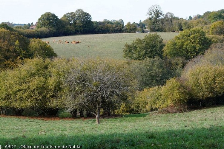 Vallée du Taurion