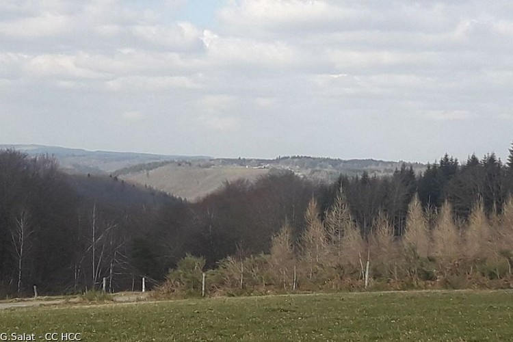 image du object