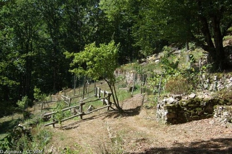 image du object