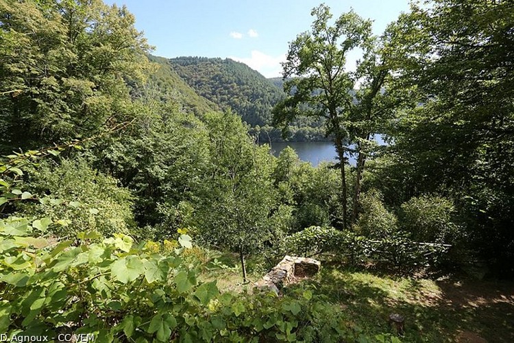 Le Jardin de Bardot