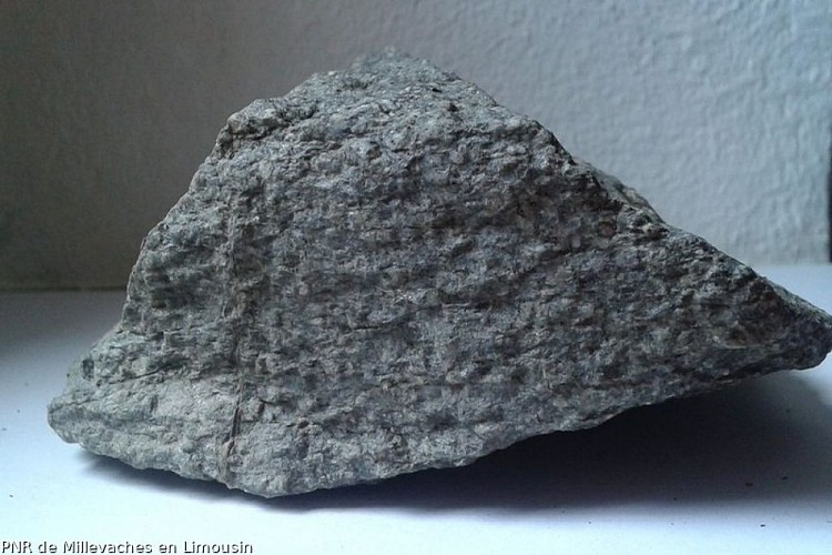 Gneiss