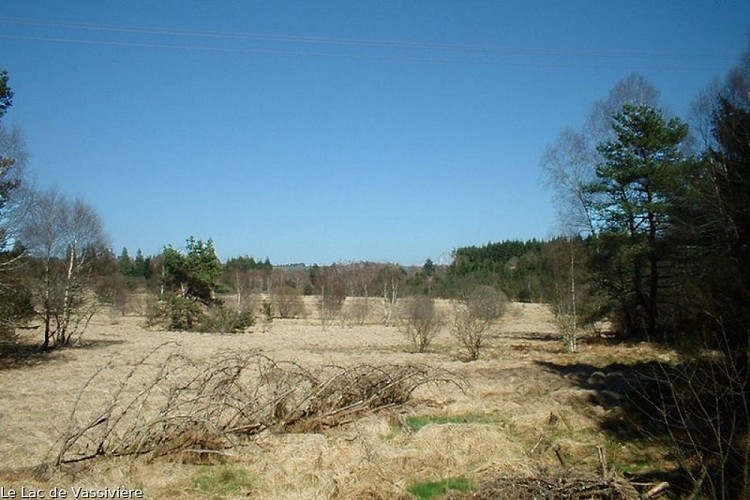 image du object
