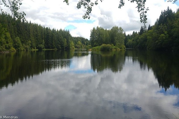 Etang Noir