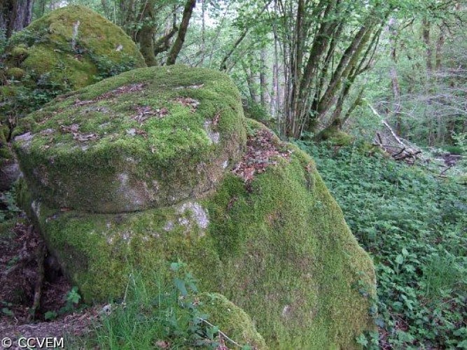 image du object
