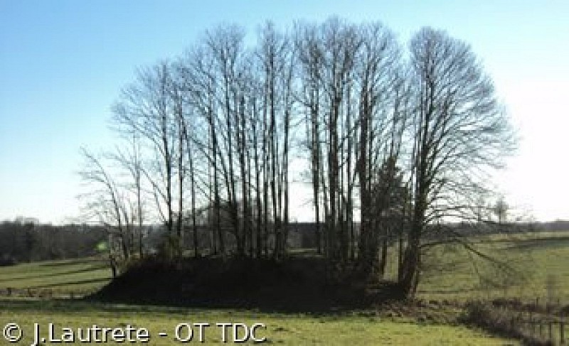 image du object