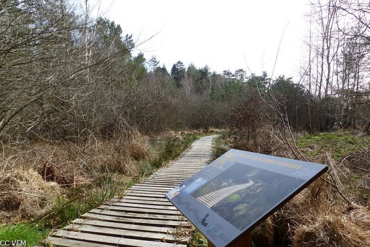 image du object