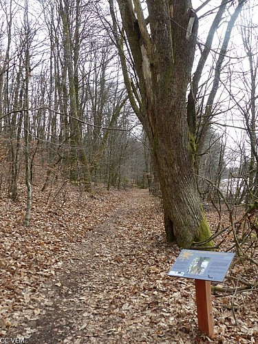 image du object