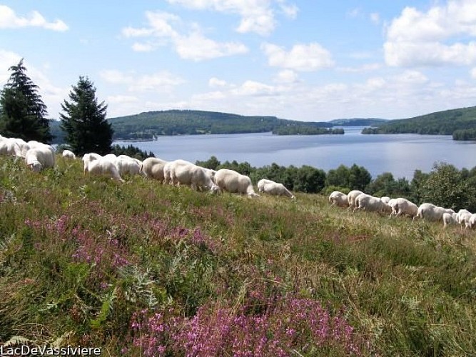 Point de Vue sur la lande et le lac