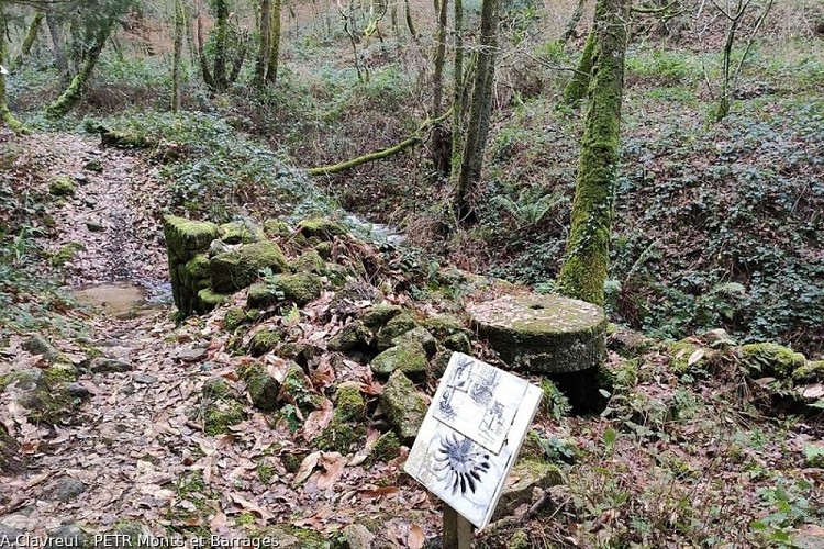 image du object