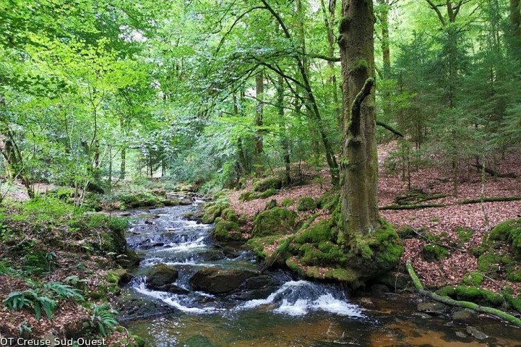 Les cascades d'Augerolles