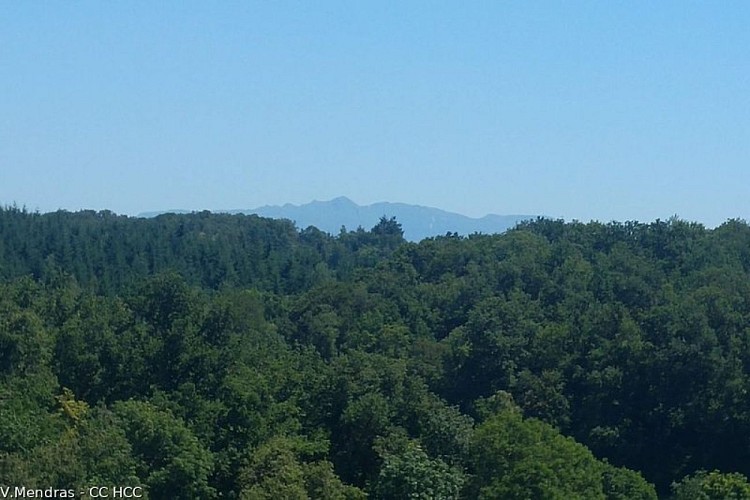 Massif du Sancy