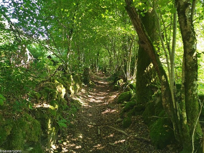Chemin creux Lépinas