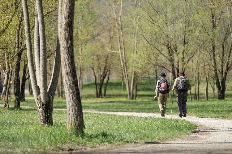 Compostelle Savoie - Stage 1 - From the heights of Seyssel to Chanaz