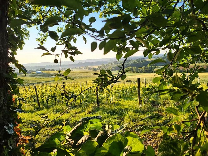 Aydie chambre d'hôtes Aci qu emplaa @ Thiesse (19)