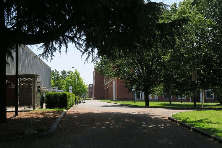 L'INSEP